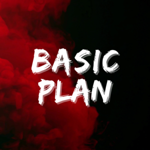 Basic Plan