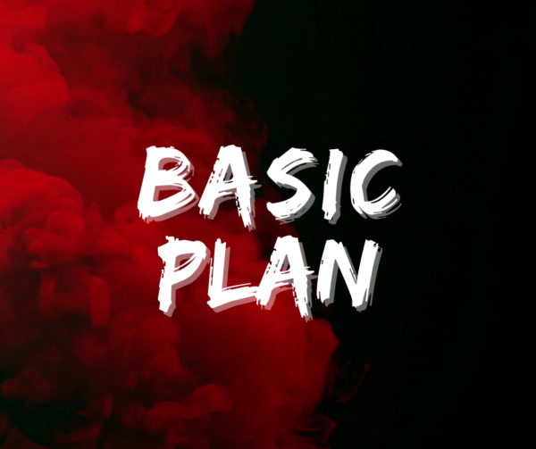 Basic Plan